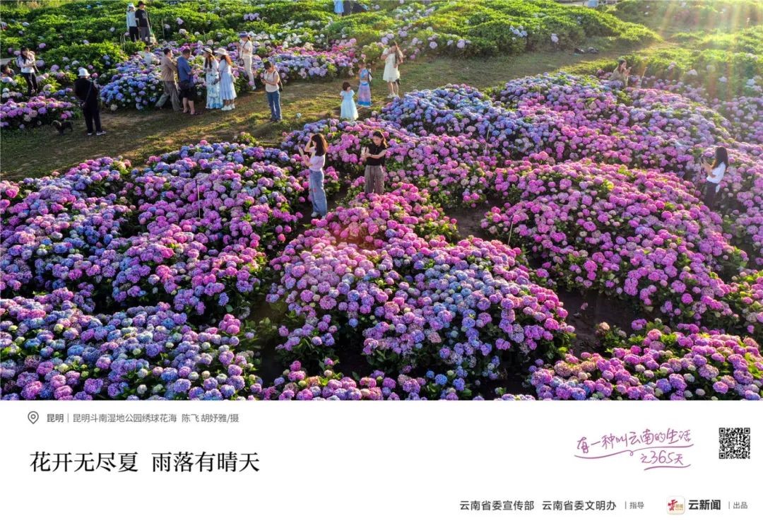 &#24320;&#20113;&#32593;&#39029;&#29256;&#95;&#24320;&#20113;&#40;&#20013;&#22269;&#41;&#23448;&#26041;